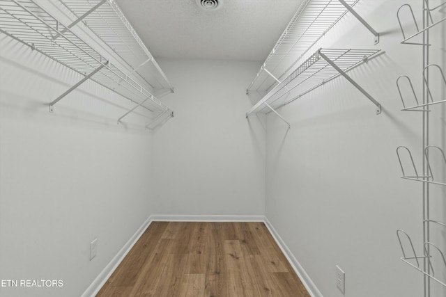 spacious closet with hardwood / wood-style floors