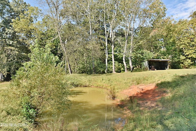 view of local wilderness with a water view