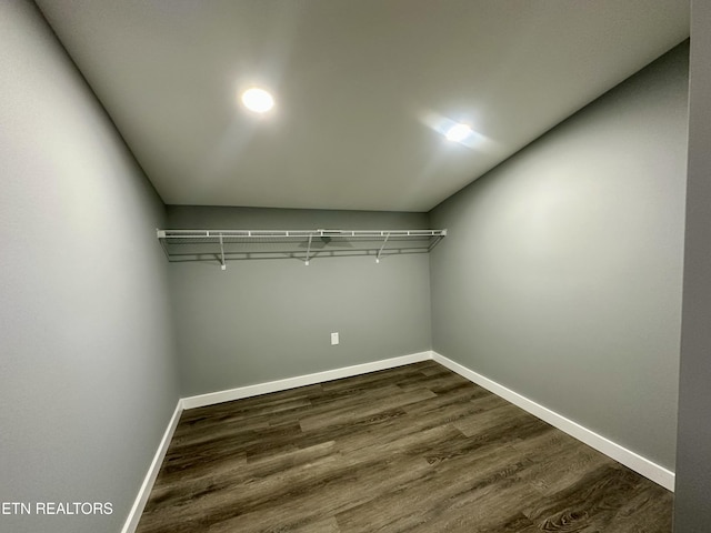 spacious closet featuring dark wood-type flooring