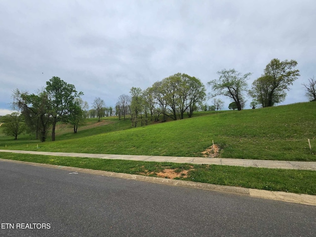 Windswept Way, Morristown TN, 37814 land for sale