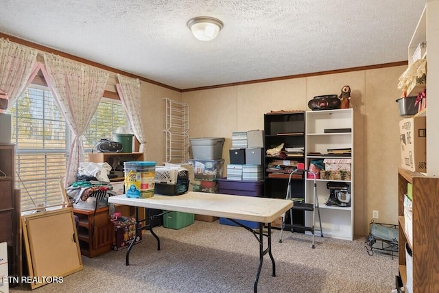 office featuring a textured ceiling, crown molding, and light colored carpet