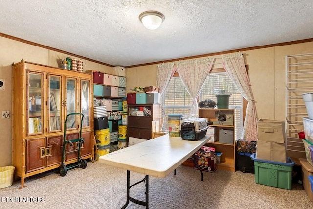 office space with ornamental molding, a textured ceiling, and carpet flooring