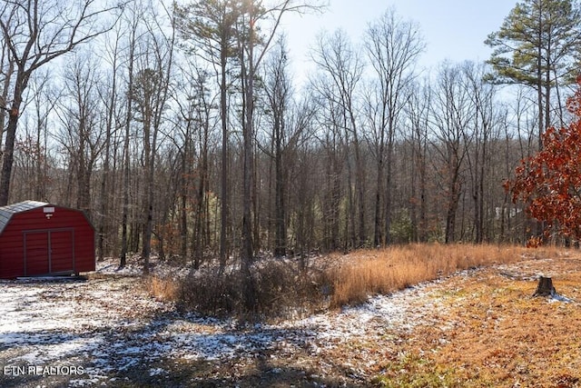 view of local wilderness