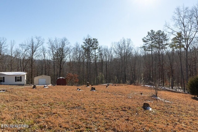 view of yard featuring a storage unit