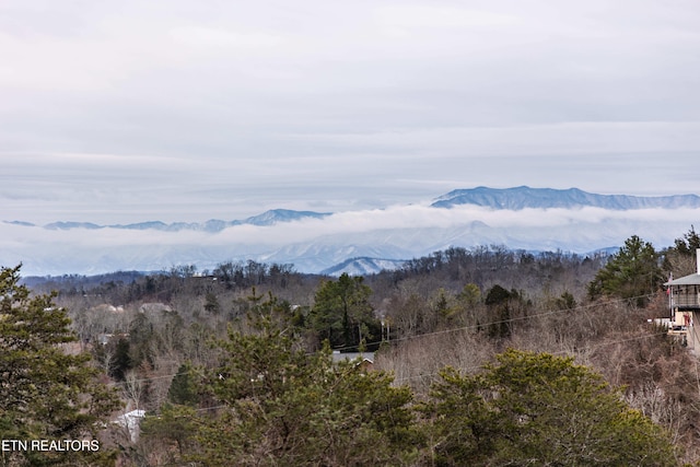 1964 Providence Rd, Sevierville, TN 37876 - view of mountain feature