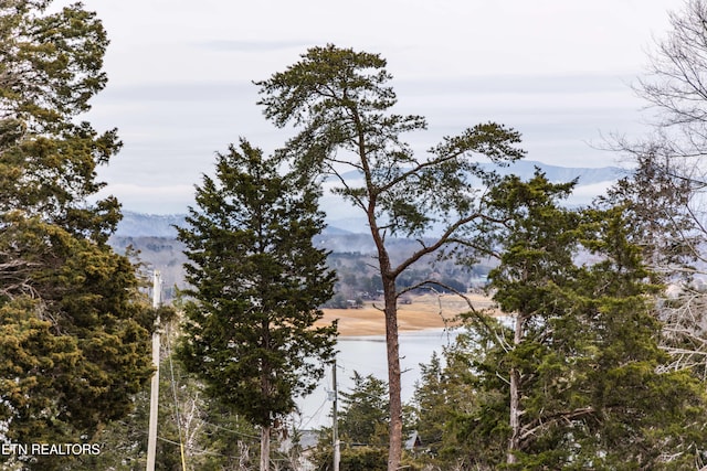 1964 Providence Rd, Sevierville, TN 37876 - water view with a mountain view