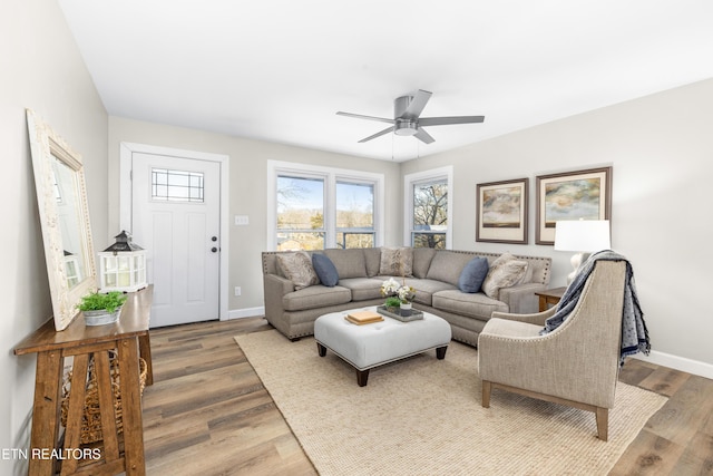 living room with ceiling fan and wood-type flooring