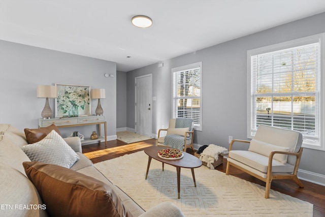 living room with hardwood / wood-style floors and a healthy amount of sunlight