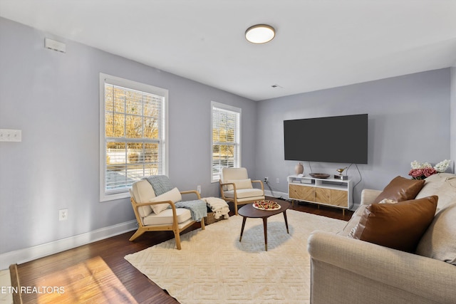 living room featuring hardwood / wood-style floors