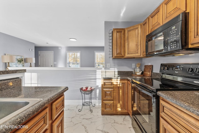 kitchen featuring sink and black appliances