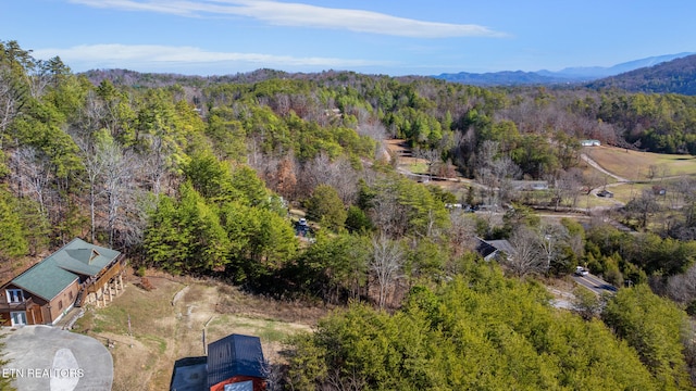 aerial view with a mountain view