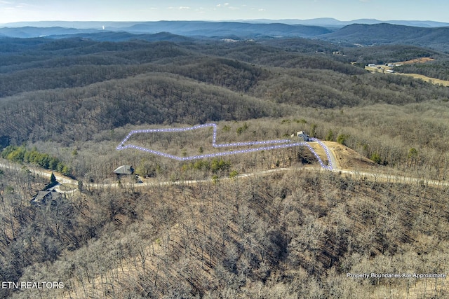 birds eye view of property featuring a mountain view