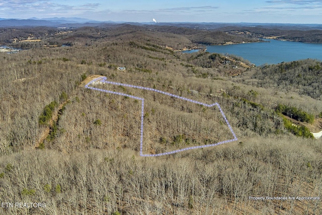 birds eye view of property with a water and mountain view