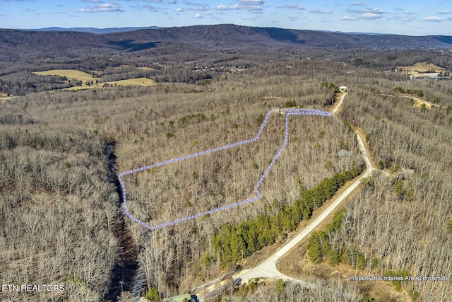 aerial view featuring a mountain view