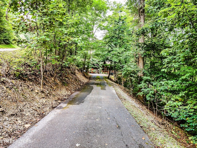 view of road