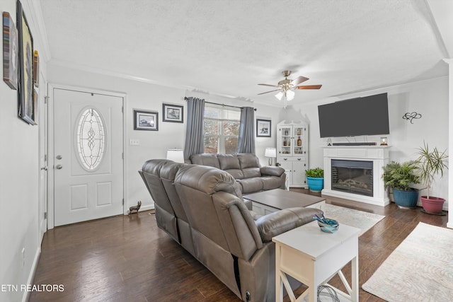 living room featuring a textured ceiling, ceiling fan, ornamental molding, and dark hardwood / wood-style floors