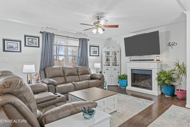 living room with ceiling fan, dark hardwood / wood-style floors, crown molding, and a textured ceiling