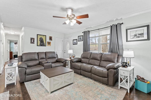 living room featuring ceiling fan, a textured ceiling, wood-type flooring, and crown molding