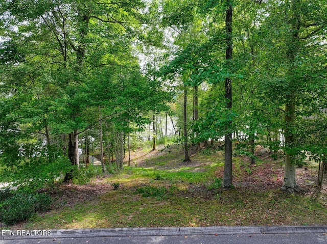 Listing photo 2 for 117 Osprey Way, Harriman TN 37748