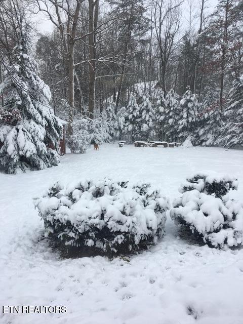 537 Gatlin Dr, Gatlinburg, TN 37738 - view of yard covered in snow