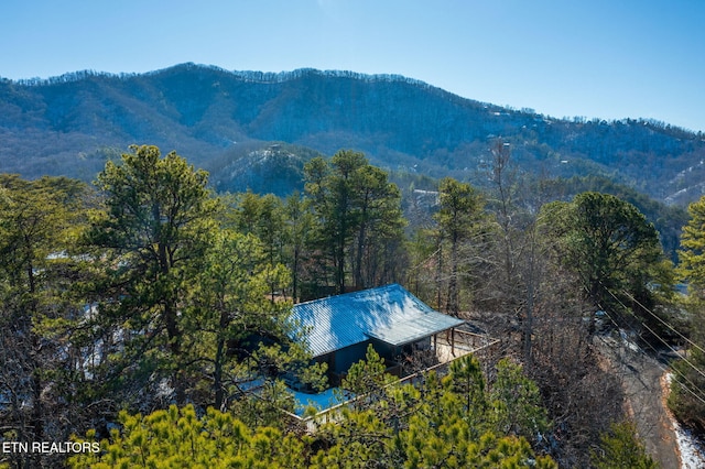 view of mountain feature