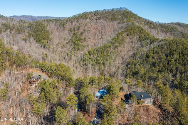 drone / aerial view with a mountain view