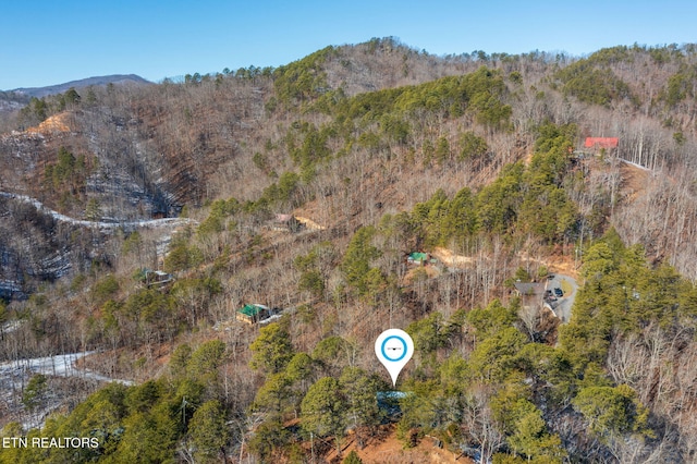 drone / aerial view featuring a mountain view