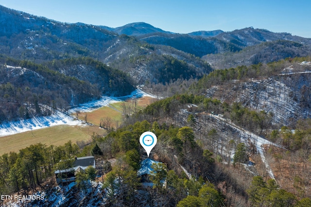 aerial view with a mountain view