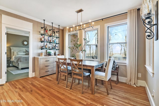 dining space with hardwood / wood-style flooring and crown molding