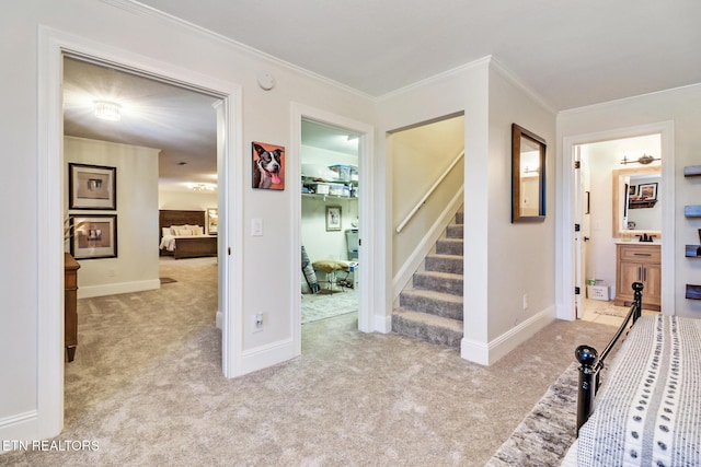 interior space featuring ornamental molding and light carpet