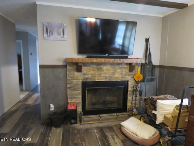 interior details featuring a wainscoted wall, wood finished floors, and a fireplace