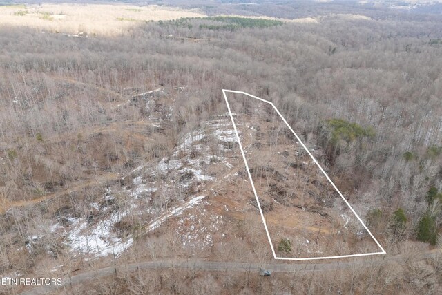 6.24ACRES Hutchins Bend Rd, Sparta, TN 38583 - photo 6