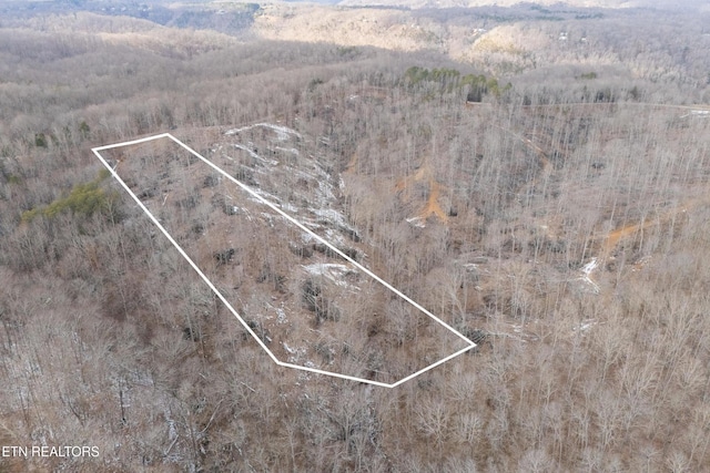 6.24ACRES Hutchins Bend Rd, Sparta, TN 38583 - photo 7