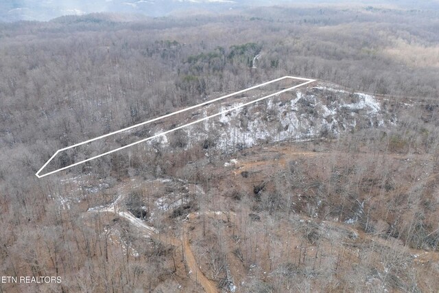 6.24ACRES Hutchins Bend Rd, Sparta, TN 38583 - photo 8