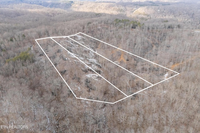6.24ACRES Hutchins Bend Rd, Sparta, TN 38583 - photo 10