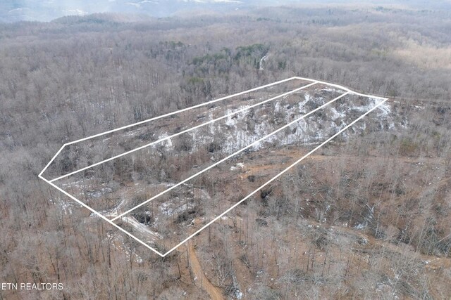 6.24ACRES Hutchins Bend Rd, Sparta, TN 38583 - photo 11