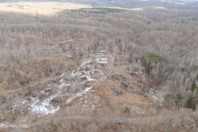 6.24ACRES Hutchins Bend Rd, Sparta, TN 38583 - photo 12