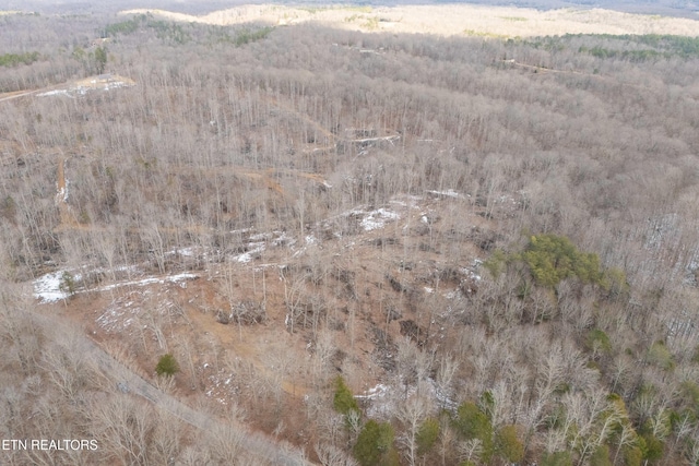 6.24ACRES Hutchins Bend Rd, Sparta, TN 38583 - photo 13
