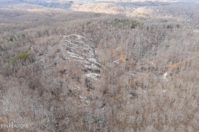 6.24ACRES Hutchins Bend Rd, Sparta, TN 38583 - photo 15