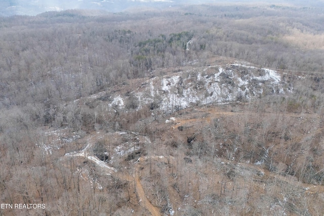 6.24ACRES Hutchins Bend Rd, Sparta, TN 38583 - photo 17