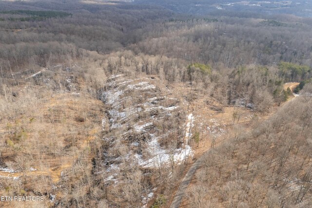 6.24ACRES Hutchins Bend Rd, Sparta, TN 38583 - photo 19