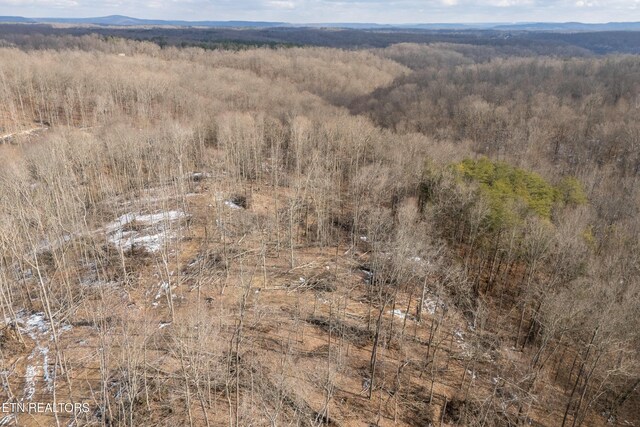 6.24ACRES Hutchins Bend Rd, Sparta, TN 38583 - photo 20
