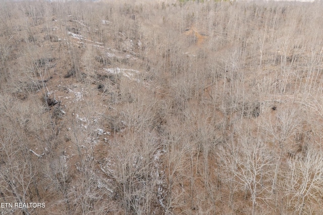 6.24ACRES Hutchins Bend Rd, Sparta, TN 38583 - photo 21