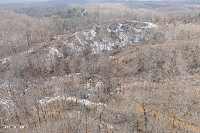 6.24ACRES Hutchins Bend Rd, Sparta, TN 38583 - photo 22