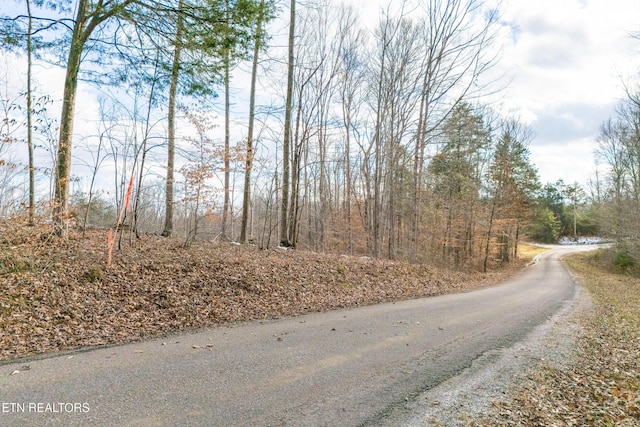 6.24ACRES Hutchins Bend Rd, Sparta, TN 38583 - photo 4