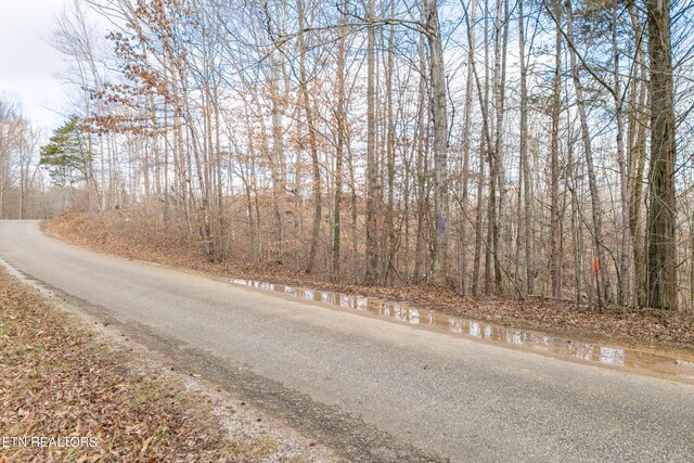 6.24ACRES Hutchins Bend Rd, Sparta, TN 38583 - photo 5