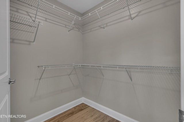 spacious closet featuring hardwood / wood-style flooring