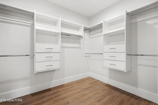 spacious closet featuring hardwood / wood-style flooring