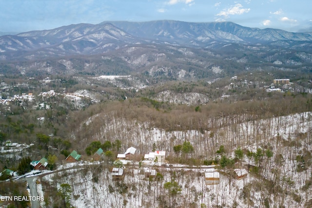 property view of mountains