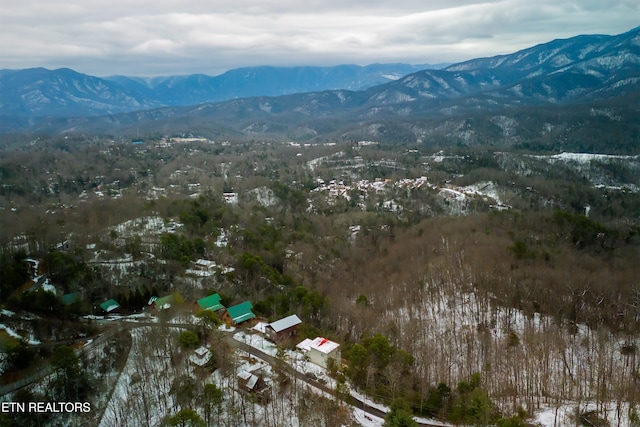 snowy aerial view featuring a mountain view